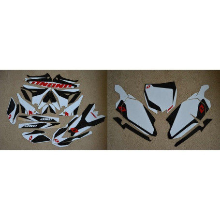 Kit Déco 450 YZF 10 11 12 13 14 complet (REFY3843)