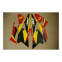 Kit Déco TRX 450 quad DELTA (REFQH8251)